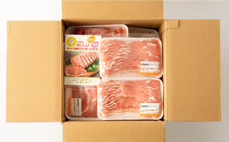 【3回定期便】SPF豚 やっちゃおいしか芳寿豚バラエティセット 計3000g / 豚肉 定期便 ほうじゅとん SPF豚 spfポーク 小分け バラ しゃぶしゃぶ / 南島原市 / 芳寿牧場 [SEI0