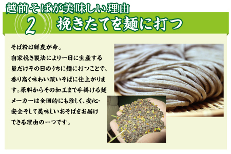 【定期便３回】創業90余年の武生製麺　三代目自慢の「越前そば10食」