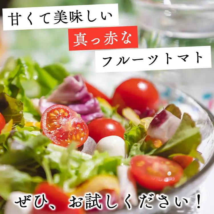トマト フルーツトマト 12パック(150g×12) 高糖度〈2026年12月以降順次配送〉 個包装 kr-0084