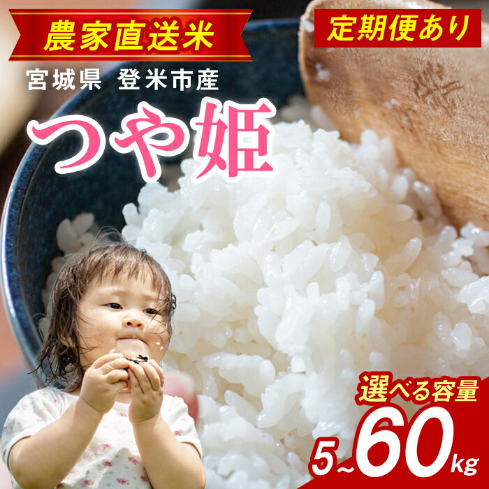 【ふるさと納税】≪令和7年産≫ ＜定期便も可！＞ つや姫 5kg～60kg 選べる 回数・容量 白米 精米 宮城県 登米市産 お米 おこめ 米 コメ 白米 ご飯 ごはん おにぎり お弁当 5kg 10kg 30kg 頒布会 3か月 6か月【株式会社ごとう農産】tm646