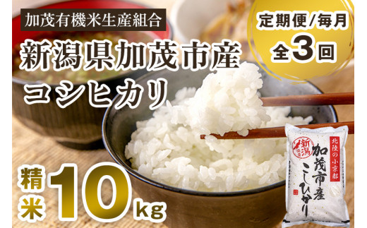 【令和7年産新米先行予約】【定期便3回毎月お届け】新潟県加茂市産コシヒカリ 精米10kg（5kg×2） 《10月中旬から順次出荷 》 白米 加茂有機米生産組合 定期便