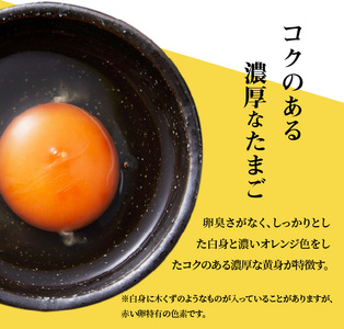 S038-T12_【定期便12回】天草 タマンゴ 6個 卵
