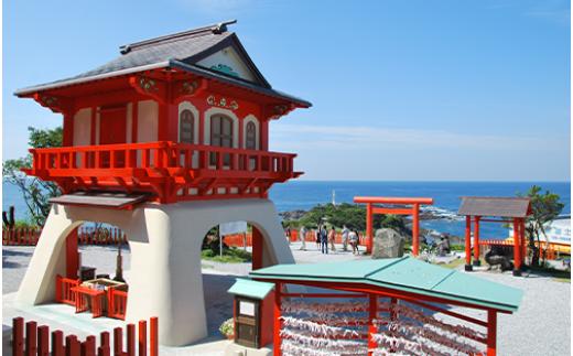 ≪返礼品なし≫鹿児島県指宿市への応援寄附金(1口：3,000円)003-154