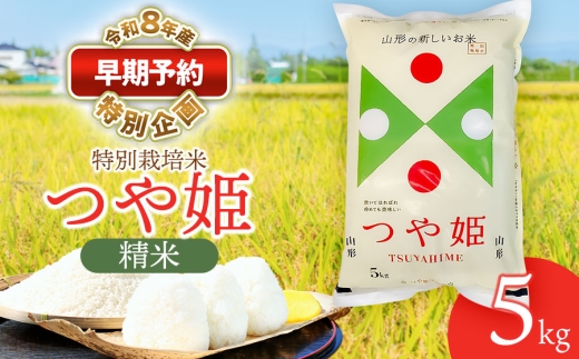 【早期予約特別企画】【令和8年産先行予約】 特別栽培米 つや姫 精米 5kg (5kg×1袋) 山形県鶴岡産　鶴岡協同ファーム