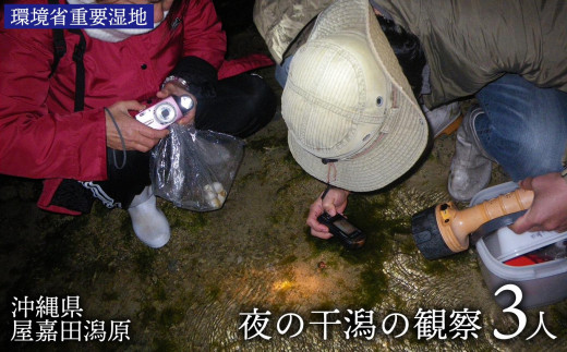 
【環境省重要湿地】【屋嘉田潟原】夜の干潟の観察（3人）
