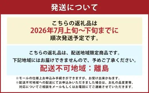 訳あり 小玉スイカ 1玉 スイカ すいか くだもの 果物 フルーツ 果実 果汁 果肉 国産 熊本県産 旬 【 2026年7月上旬～下旬発送予定 】