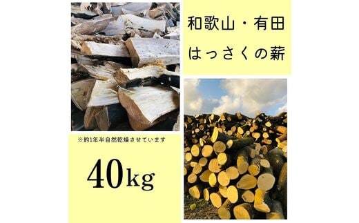 
										
										和歌山・有田のはっさくの薪！40Ｋgバイオマスエネルギーで火を楽しもう！あなたもこれでＳＤＧsに貢献！
									