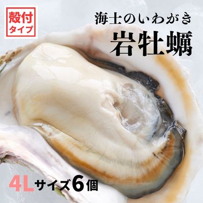 【ふるさと納税】【いわがき殻付き 4Lサイズ 6個】海士のいわがき 岩牡蠣 生食可 冷凍 牡蛎 牡蠣 かき カキ 岩牡蠣 いわがき 冷凍 父の日 母の日 バーベキュー ギフト