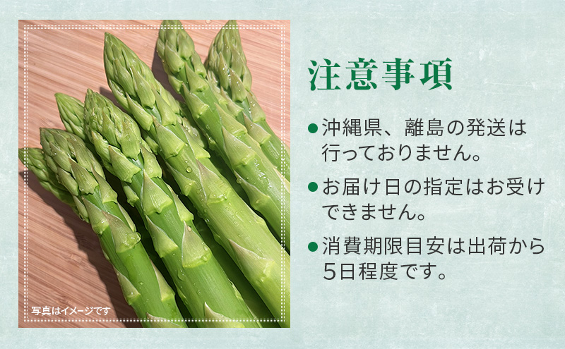 ［武田農園とれたて直送］グリーンアスパラ M～2L 混合 1kg やわらかくて抜群にあまい！北海道 富良野産 (アスパラガス アスパラ 野菜 新鮮 産地直送 先行予約 限定)