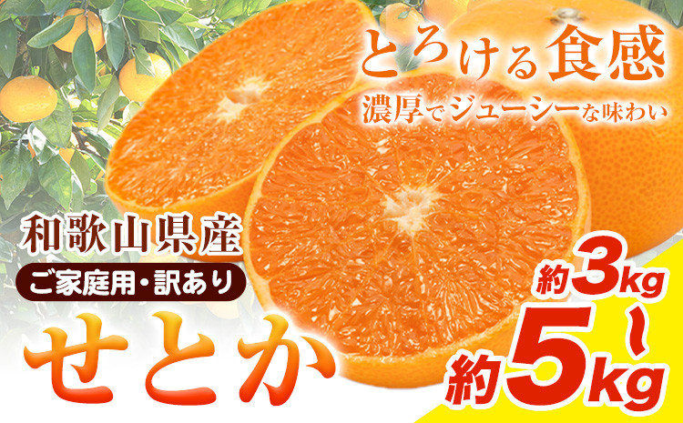 
            【先行予約】【家庭用 訳あり】とろける食感!ジューシー柑橘 せとか 約 3kg 約 5kg 魚鶴商店 先行予約《2026年2月上旬-3月中旬頃出荷》 和歌山県 日高町 みかん 柑橘 果物 フルーツ 送料無料
          
