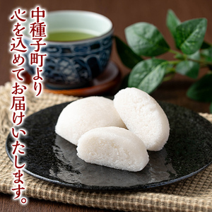 n426 かるかん 饅頭 餡子無し 計10個・2個入×5 鹿児島 種子島 郷土 軽羹 【山田製菓本舗】