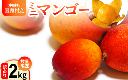 【2025年7月から順次発送】数量限定の訳ありミニマンゴー2kg【配送不可地域：離島】【1634015】