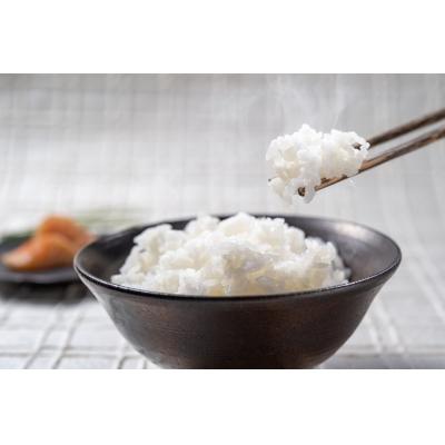 ふるさと納税 越知町 令和8年産　新米　仁淀ブルーの恵み「おち米」 3kg(香り米100%) |  | 01