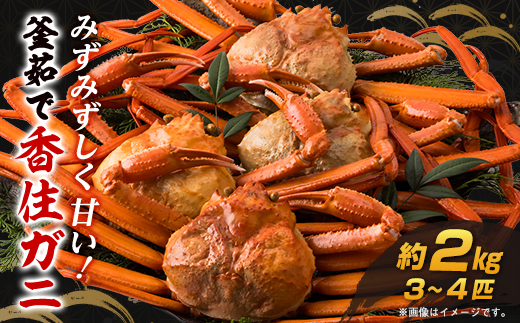 兵庫県香住産 釜茹で香住ガニ(紅ズワイガニ)3～4匹入(約2kg)【配送不可地域：離島・北海道・沖縄県・東北・九州】