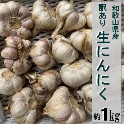 ふるさと納税 かつらぎ町 【訳ありご家庭用】和歌山県産生にんにく約1kg(かつらぎ町) | 