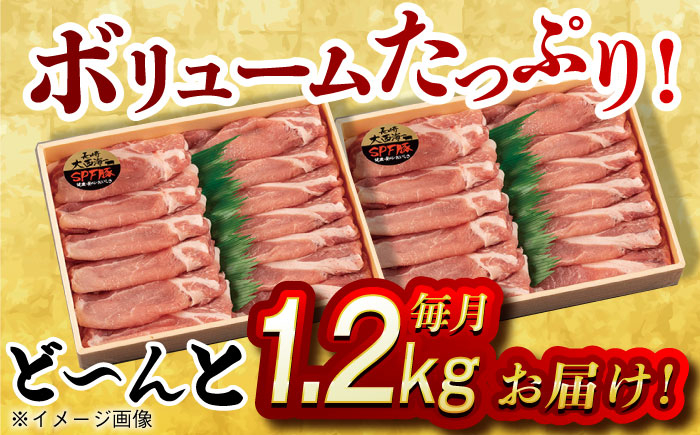 肉 豚 ぶた ブタ ロース しゃぶしゃぶ 小分け 西海市 長崎 九州 定期便