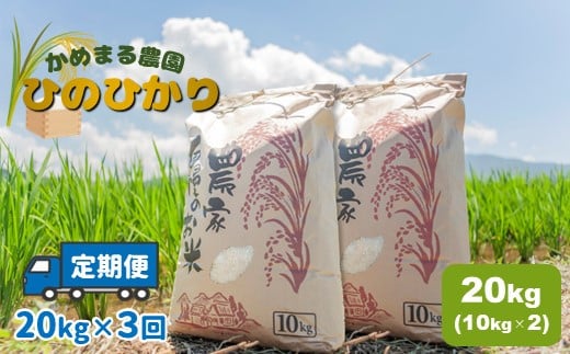 【定期便3回】 かめまる農園 「 ひのひかり 」 20kg × 3回 | 米 こめ お米 おこめ 白米 精米 ヒノヒカリ 熊本県 玉名市 定期 定期便