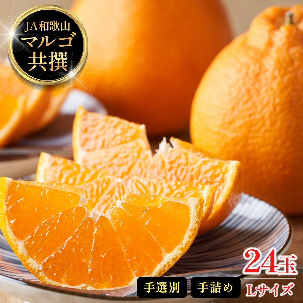 【ふるさと納税】JA和歌山 マルゴ共撰 デコポン 24玉入り Lサイズ 5kg箱 | 不知火 デコポン フルーツ 果物 くだもの 食品 人気 おすすめ 送料無料