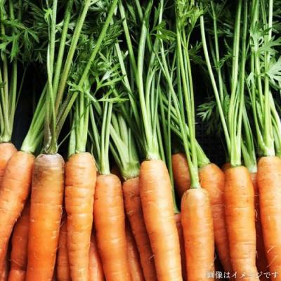 ふるさと納税 糸島市 栽培期間中農薬・化学肥料不使用 温野菜&生食野菜セット オーガニックナガミツファーム[AGE015] |  | 03