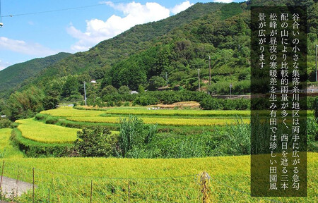 お米 5kg 思いを繋ぐ糸川のお米 結意米 【ゆいまい】和歌山県産 【みかんの会】