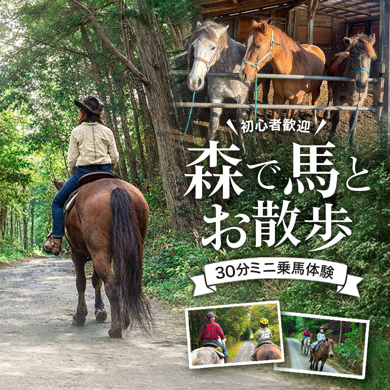 【ふるさと納税】初心者歓迎 森の中を馬に乗ってお散歩プラン(30分) 外乗 体験 広島 安芸高田市 エオの谷