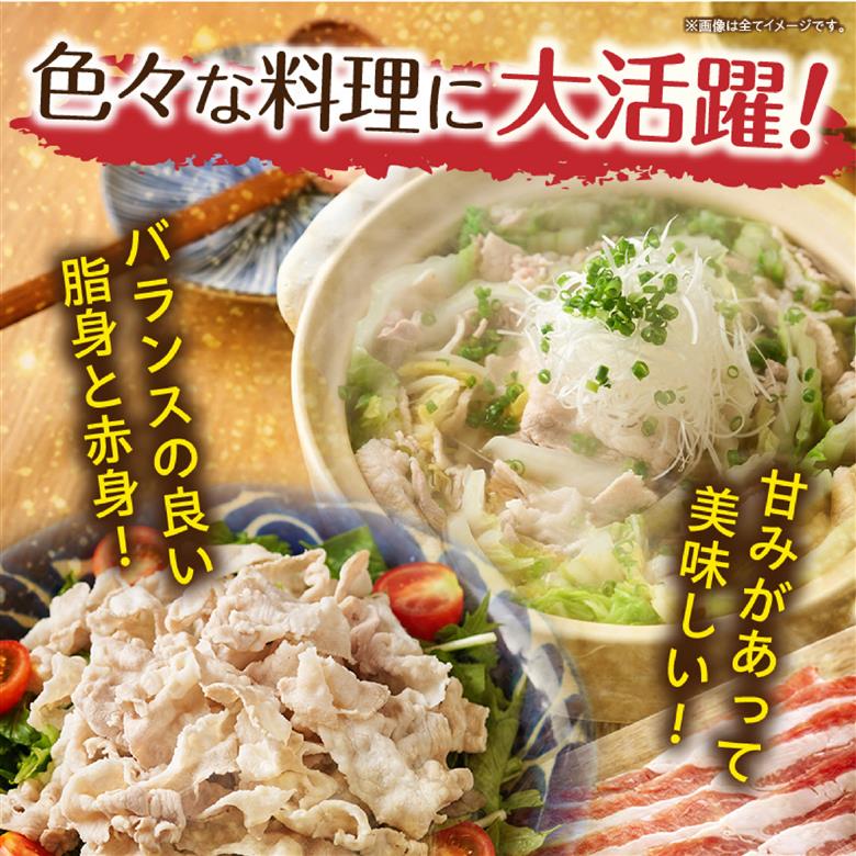 【10/1から寄附額改定】【12月発送・毎月数量限定受付】国産 豚 みやざきブランドポーク バラスライス　2キロ（500g×4Ｐ 国産 豚肉 豚バラ肉 生姜焼き 焼肉 スライス 限定 小分け 宮崎 冷