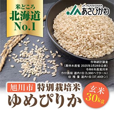 ふるさと納税 旭川市 【数量限定】令和7年産米 北海道産 特Aゆめぴりか 玄米 お米 30kg_00236