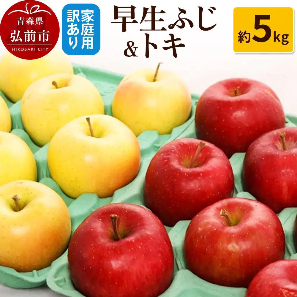 【26年10月発送】りんご【訳あり】家庭用 早生ふじ＆トキ 約5kg 先行受付