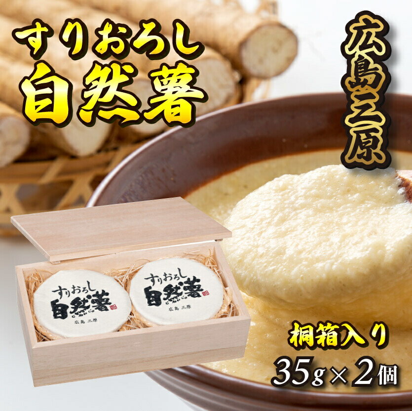 【ふるさと納税】すりおろし自然薯【配達不可：離島】　029003