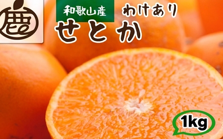 家庭用 せとか 1kg+250g（痛み補償分） 光センサー / 訳あり 甘い 和歌山 柑橘 ※2月上旬～4月上旬頃に順次発送 ※北海道・沖縄・離島への配送不可 【ikd014-c-1C】