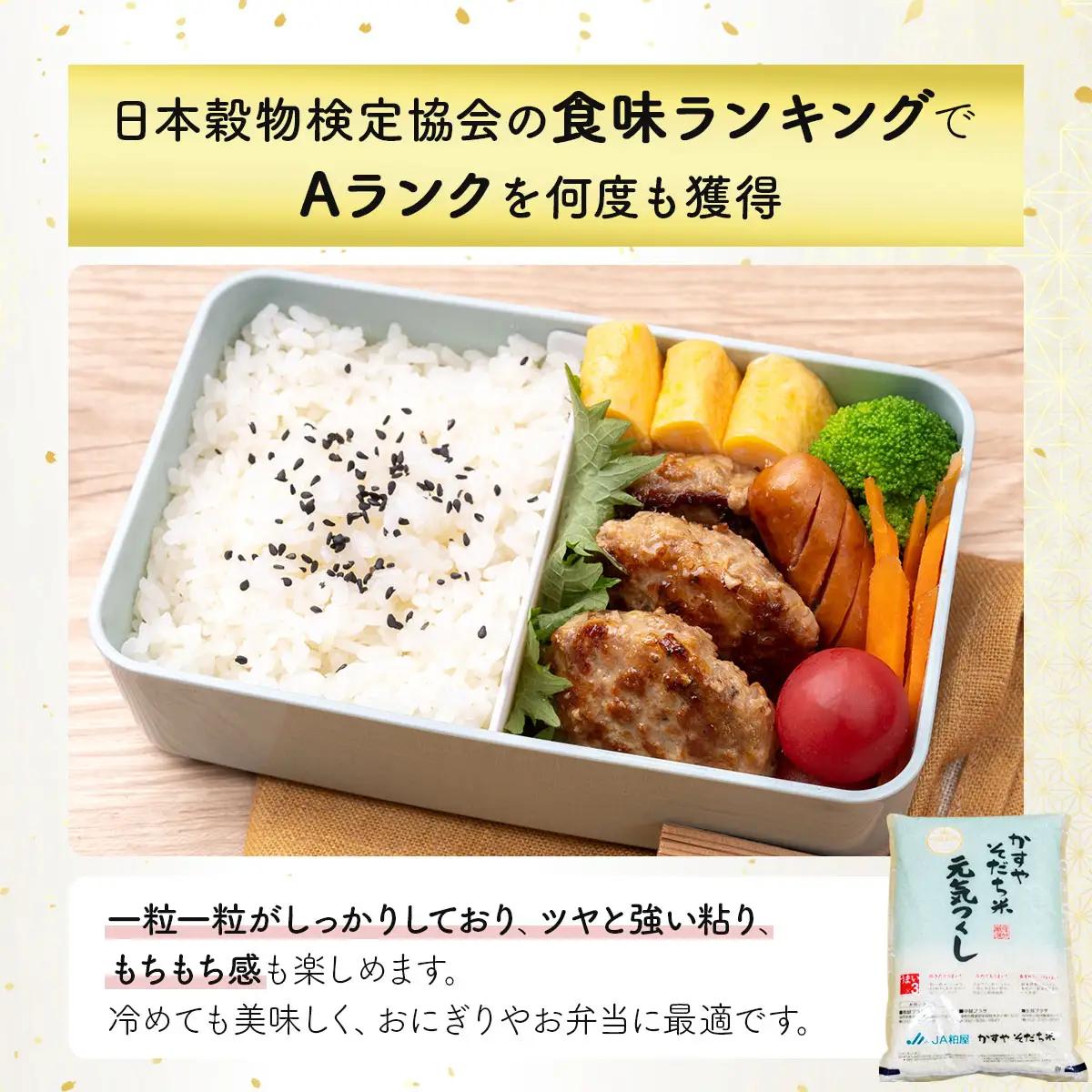 令和7年産 かすやそだち米「元気つくし」精米 5kg【KN003】