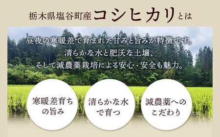令和7年産 コシヒカリ 無洗米 5kg| お米 白米 米 こめ コメ ご飯 農家直送 ふるさと納税米 国産 常温 栃木県 塩谷町 ※2026年2月中旬～9月中旬頃に順次発送予定