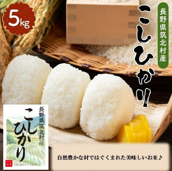 【ふるさと納税】筑北村産こしひかり　5kg／10kg | お米 こめ 白米 天日干し 食品 人気 おすすめ 送料無料
