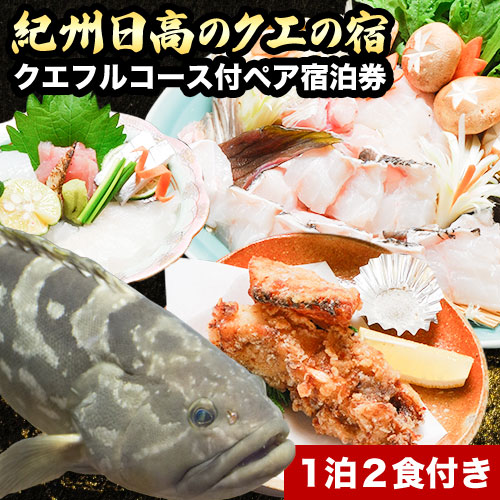 本場で味わう贅沢なひととき「紀州日高のクエ」の宿 クエフルコース付ペア宿泊券 日高町役場《30日以内に出荷予定(土日祝除く)》 和歌山県 日高町 クエ クエフルコース 宿泊券 1泊2食付き 2名 送料無料