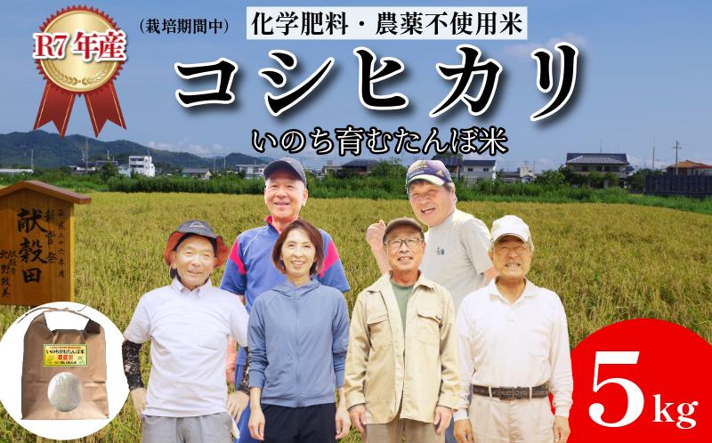 
            【令和7年産】米 コシヒカリ 5kg 天皇献上米 (栽培期間中）化学肥料・農薬不使用米 白米 精米 こめ  ご飯 備蓄米 ごはん  環境 に優しい 小松島 上王子特質米 5kg
          