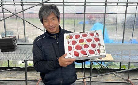 いちご 朝倉市産 あまおう L～3L 20玉×2箱 いちご