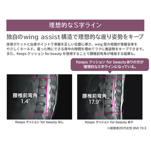 nishikawa / 西川 Keeps クッション for beauty グレー【P391U】　キープス クッション