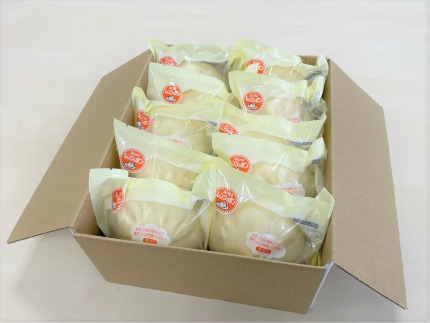 大鼎堂の大判肉まん10個セット（150g×10袋）[H4260]