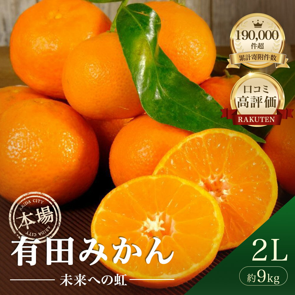 【ふるさと納税】★本場有田市産★ 有田みかん「未来への虹」 2Lサイズ 約9kg 送料無料 産地直送 大粒 大玉 本場 温州みかん 甘い 濃厚 コク ジューシー フルーツ 柑橘 果物 家庭用 ギフト 贈答用 人気 訳あり でない 和歌山県有田市