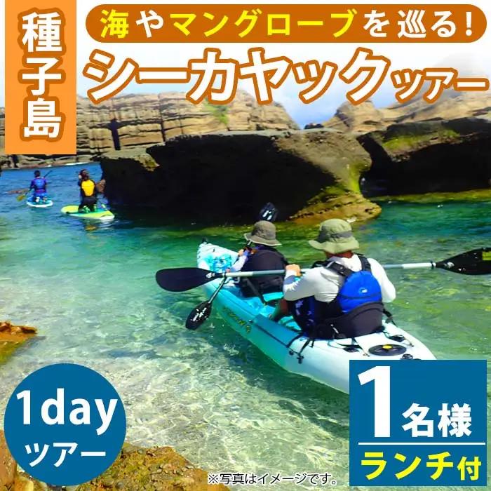 n117 シー カヤック 1day ツアー 1名様分・7時間 ランチ付 種子島 【Lulusun】