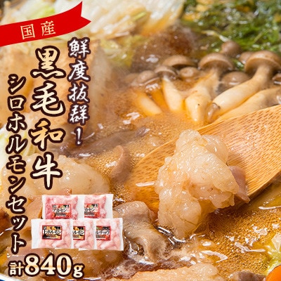 国産黒毛和牛シロホルモンセット　840g A3-383【配送不可地域：離島】【1694678】