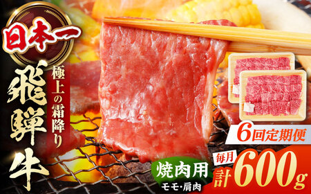 【6回定期便】 飛騨牛 焼肉用 赤身 600g（300g×2） / 白川町 / 浅井商店[AWBJ013]