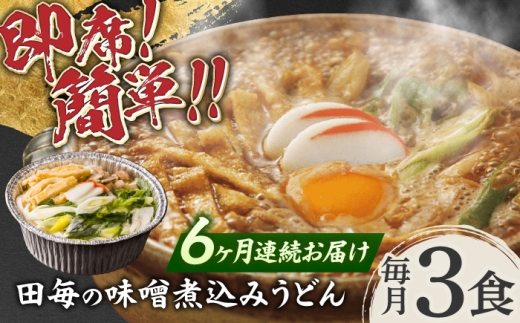 【6回定期便】うどん 岐阜の味 田毎の味噌煮込みうどんセット 即席 カンタン 麺 うどん 味噌煮込みうどん 煮込みうどん 冷凍 半年 定期便 特製味噌 秘伝の出汁 具材付き 簡単調理 時短 鍋不要 水不要 老舗の味 名店 グルメ お取り寄せ ギフト プレゼント 贈り物 贈答 お返し 内祝い お祝い おすすめ 人気 おいしい 美味しい 岐阜市 / ラボレムス [ANFP009]