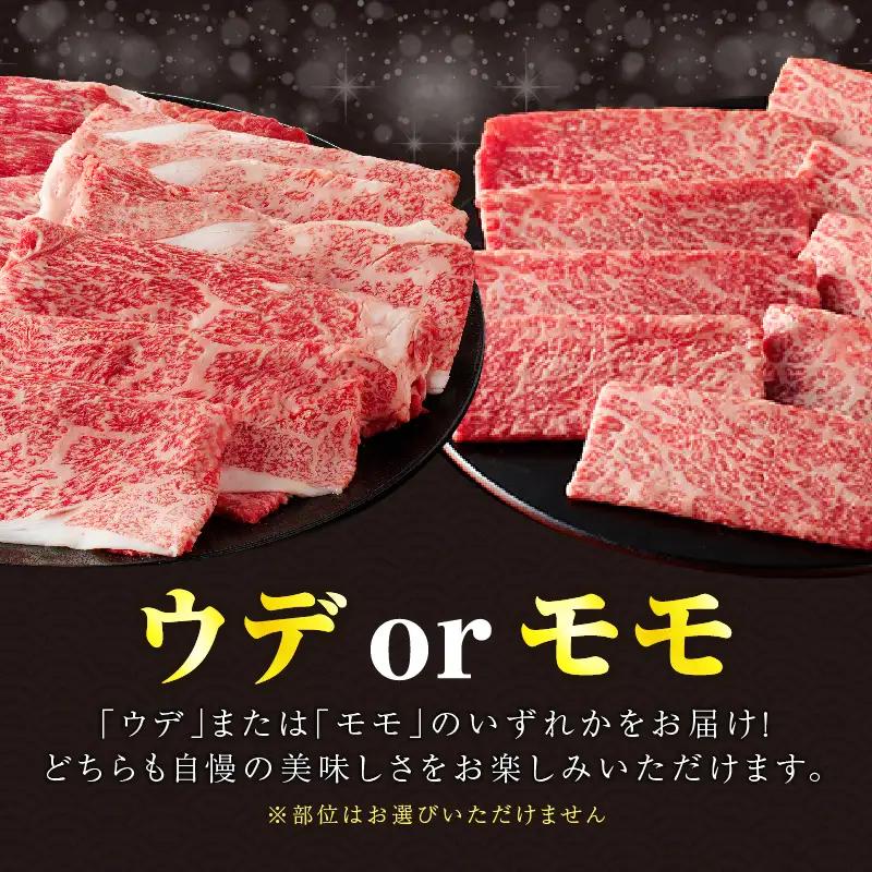 【14営業日以内発送】【畜産農家応援】≪肉質等級4等級以上≫黒毛和牛赤身スライス(計500g) 肉 牛 牛肉 おかず 国産_T030-0886-14E