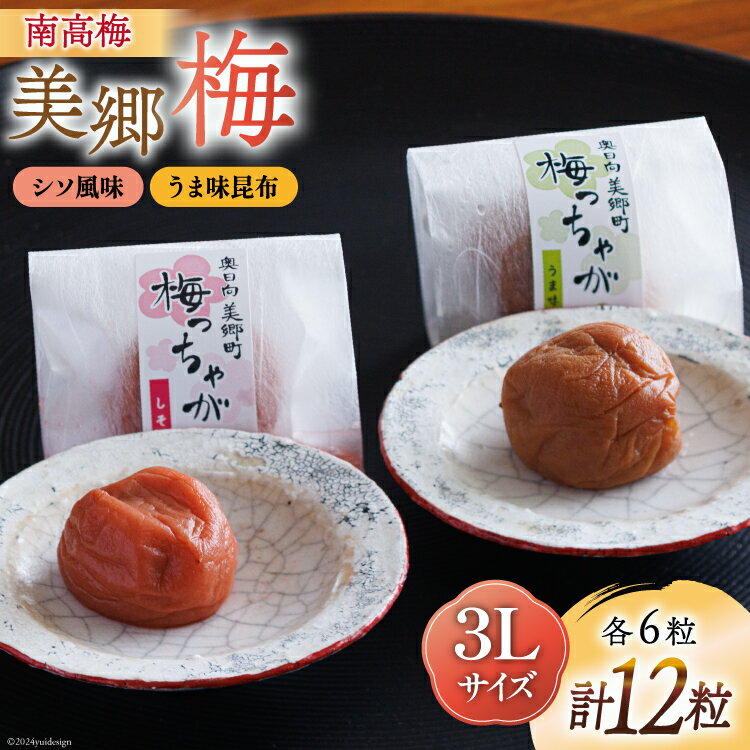【ふるさと納税】南高梅 梅干し 美郷梅 一粒入り うま味昆布 & シソ風味 各6粒 3Lサイズ A級品 化粧箱入り [農林産物直売所 美郷ノ蔵 宮崎県 美郷町 31ab0101-NEW] 国産 セット 詰め合わせ 宮崎県産 美郷産 常温 送料無料 贈答品 プレゼント ギフト