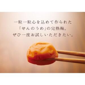【A級品】紀州南高梅 田舎梅 500g 塩分10％ / 梅干し 梅干 うめぼし 南高梅 国産 梅 うめ ウメ 完熟 健康 ご飯のお供 昔ながら 贈り物 ギフト プレゼント お取り寄せ せんのうめ 和歌