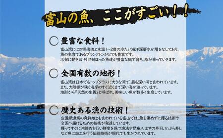 【年間3回定期便】職人手作り地魚一夜干真空パックと富山湾季節の味(氷見ぶり、ホタルイカ、みりん干）