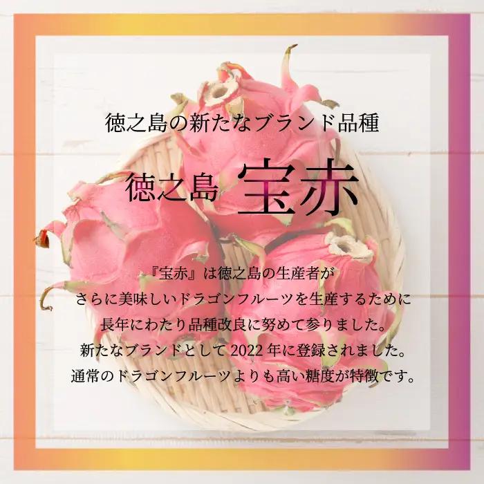 貞岡農園 プレミアム ドラゴンフルーツ 赤玉 1～1.5kg ( 2玉～3玉 ) 天城町産 徳之島宝赤 トロピカルフルーツ フルーツ 果物 果実 ピタヤ