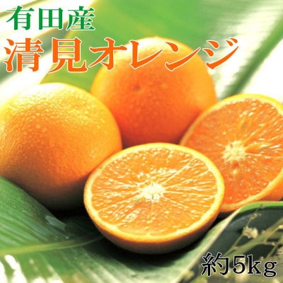 【発送月固定定期便】和歌山の春のフルーツ(ポンカン・清見オレンジ・まりひめ)全3回【配送不可地域：離島・北海道・沖縄県】