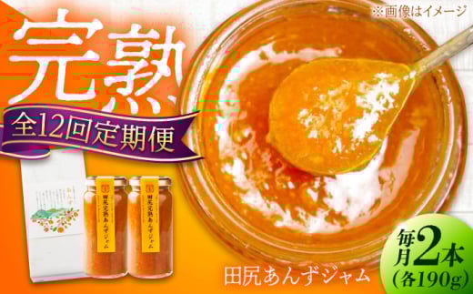 【全12回定期便】 ジャム 田尻完熟あんずジャム (2本) 果物 トースト フルーツ ジャム あんず パン 甘い 菓子 菓子パン 食パン デザート ヨーグルト ペースト スイーツ 完熟 甘味 朝ごはん 人気 おすすめ 美味しい グルメ お取り寄せ ギフト 贈り物 プレゼント セット 詰め合わせ フルーツジャム 国産 定期便 全12回 広島県福山市/有限会社勉強堂 [BAFL014]